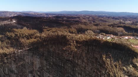 montaña forestal dañada después del incendio vista aérea