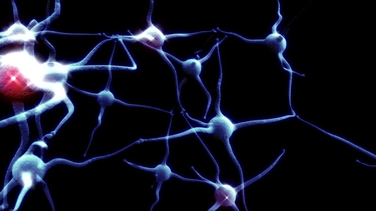 Blue Neuron synapse network with red electric impulse activity able to loop