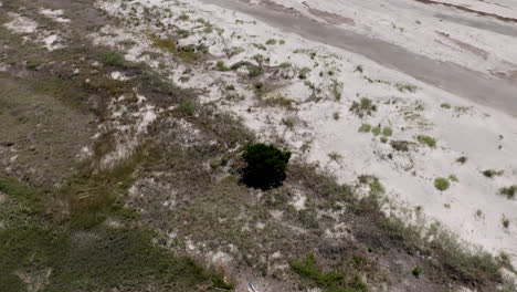 aerial video captures a low view of a narrow tidal creek flanked by greenery and sand dunes on hilton head island