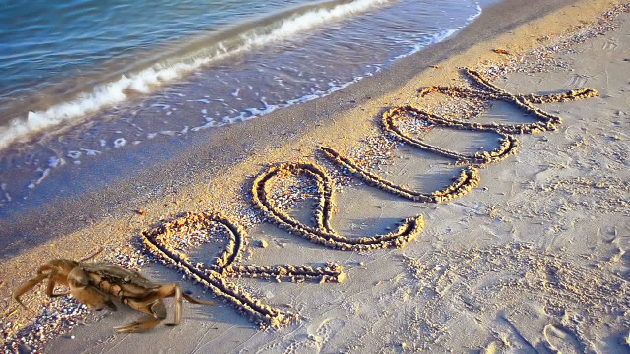 Crab and an inscription on sand, the beach. Inscription relax on sand