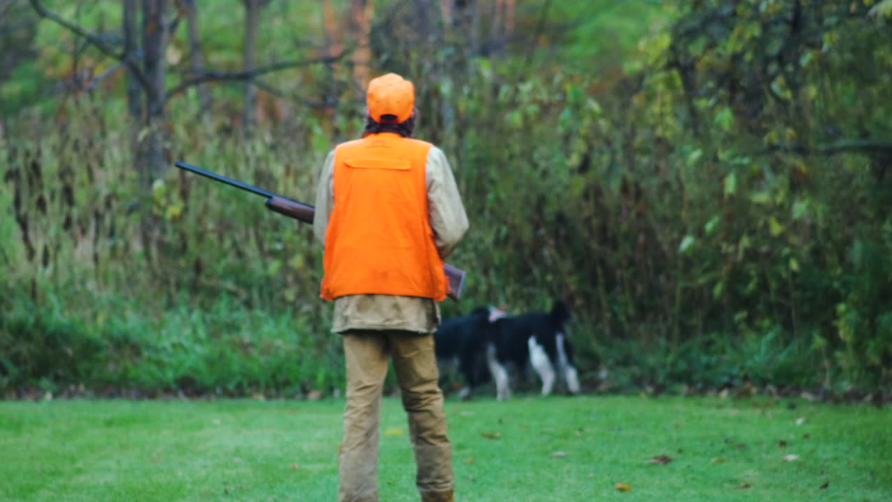 Mand i skrigorange vest går med sin riffel og springer spaniel jagthunde