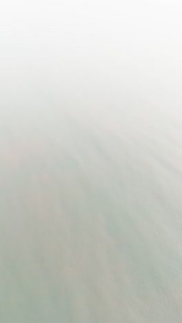 aerial vertical shot tilt of the mountains and the sea in phan rang–tháp chàm.