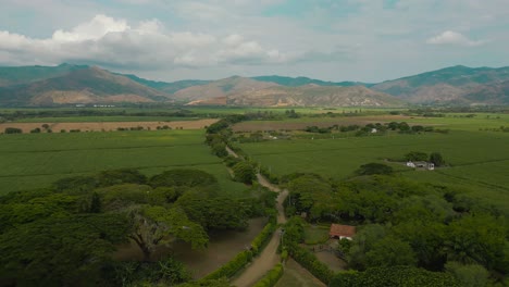 Aerial-Sugar-Cane-Crops-Next-To-Mountains