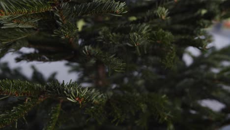 Hängende-Perfekte-Rote-Weihnachtsblase-Am-Weihnachtsbaum,-Tageslicht-4k