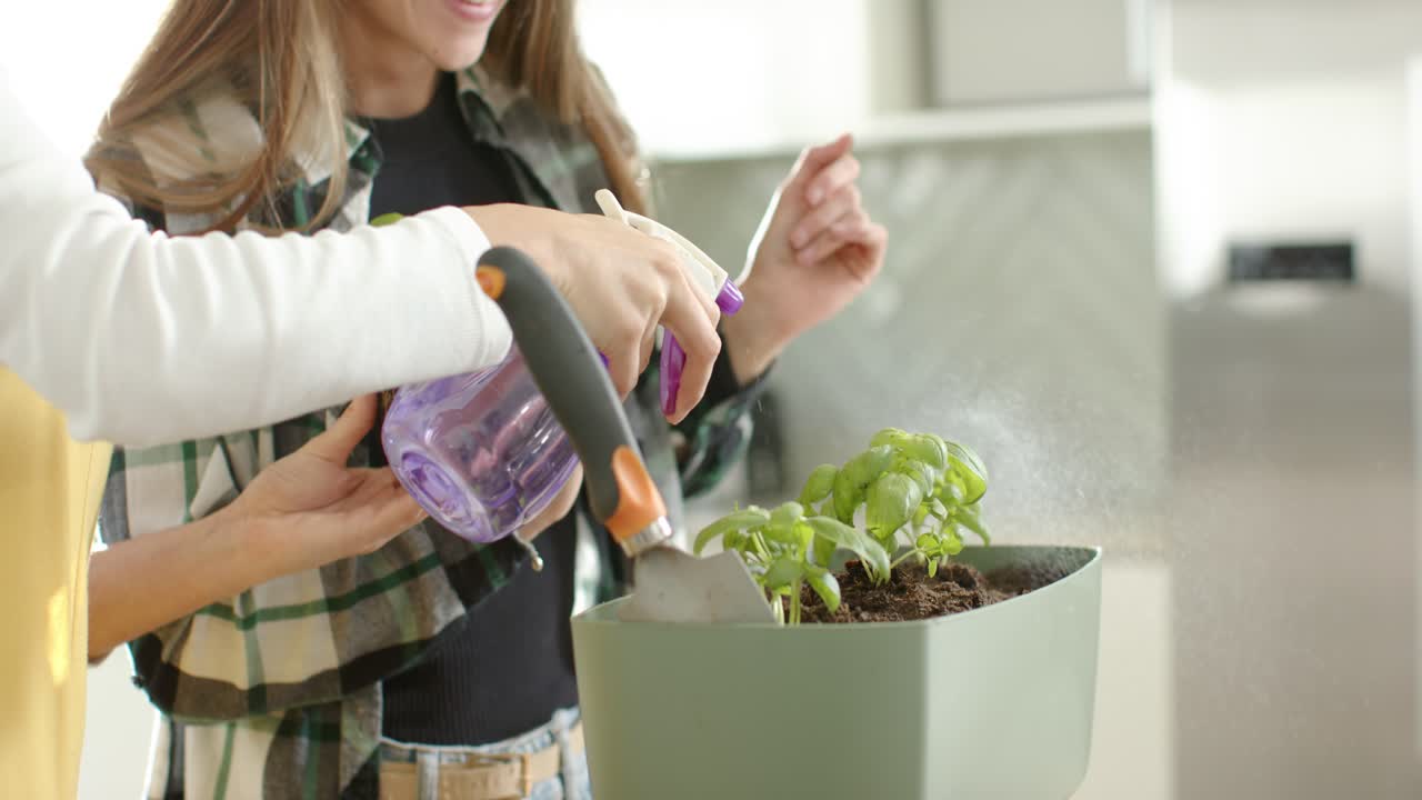 Pressing spray bottle, two hands are misting soil and planting basil into planter for kitchen herbs