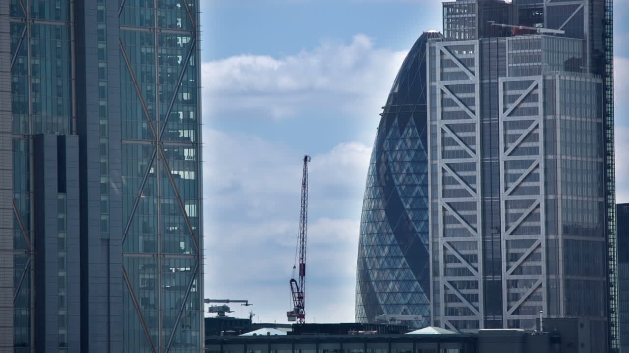 작은 오이 팬 02