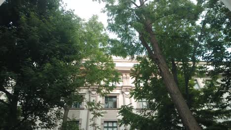 Big-green-trees-surrounded-by-departments-building