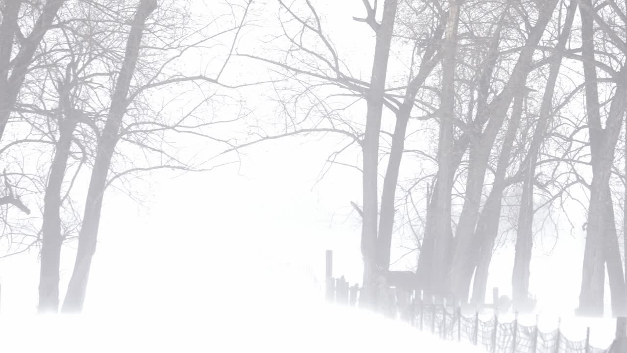 보즈먼 몬타나의 눈보라, 4k