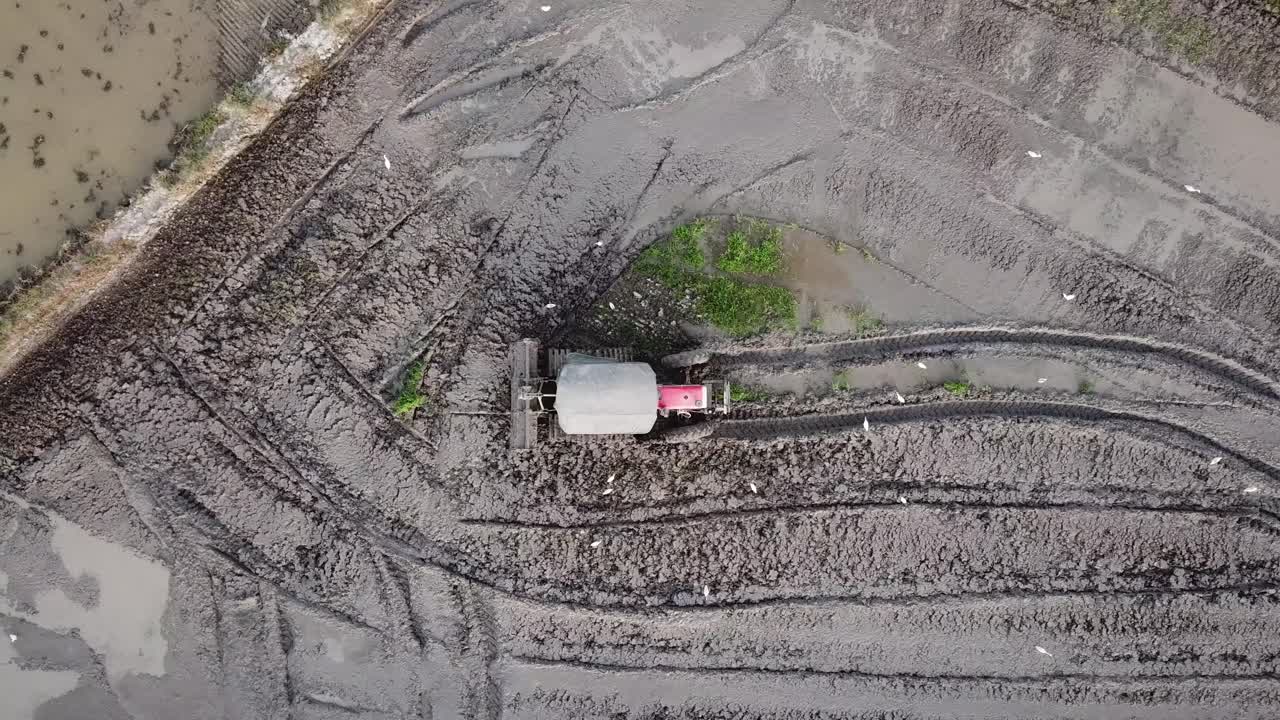 Aerial look down tractor plow cultivate the soil at paddy field.