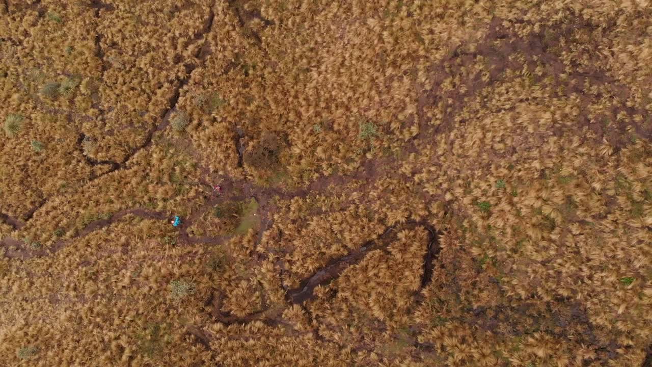 gente caminando por un campo moribundo en un pequeño pueblo en ecuador