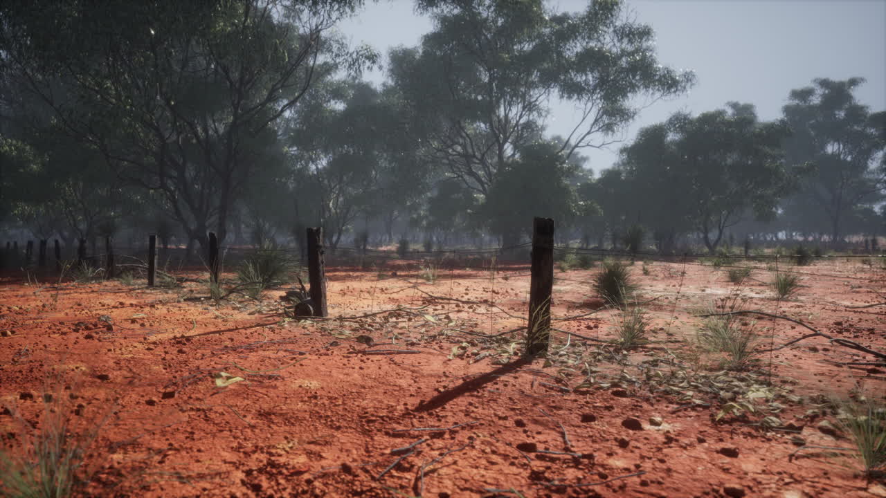 Detail of old rural fencing with shallow focus