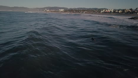 Vista-Aérea-Detrás-De-Un-Surfista-Moviéndose-Sobre-Las-Olas-Del-Océano-Frente-A-La-Costa-De-Venice-Beach