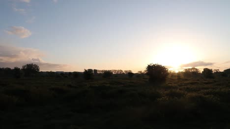 Sonnenuntergang-In-Arnheim-Und-Sitzen-In-Der-Natur