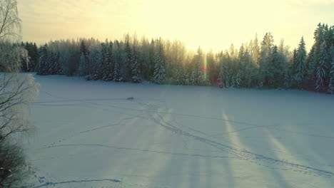 paisaje helado de bosque arbóreo con barril de sauna y cabina de madera termoeléctrica durante el amanecer