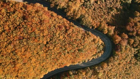 在秋色森林中間的u形曲線路上駕駛汽車的空中上下放大