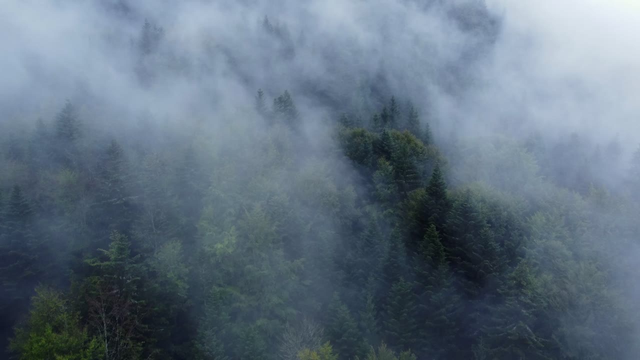 Stigende luftfoto af en mørk bjergskov med store, hurtigtbevægende, stemningsfulde hvide skyer, i Vogeserne, Frankrig, 4K