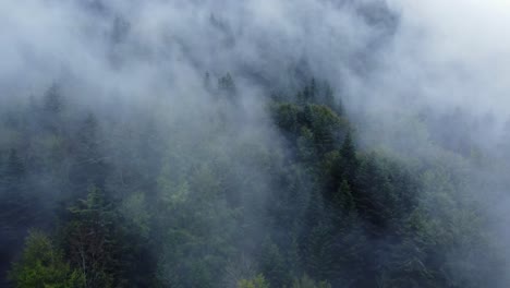 ascending aerial view of a dark mountain forest with fast moving big moody white clouds, in vosges, france, 4k