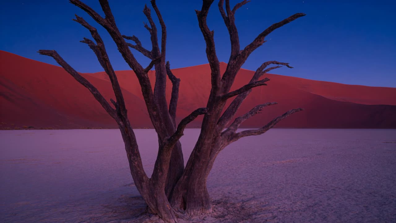 Inzoomende camera die een dode boom met meerdere stammen dichterbij haalt op een gebarsten vlak, met een duin, lucht en ster.
