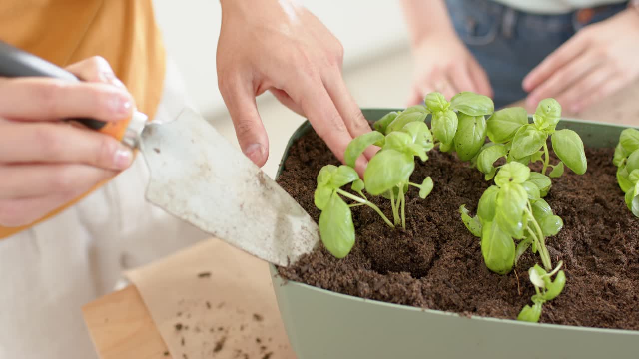 Asian couple preparing planter for herbs, holding plug with smartwatch and digging with trowel