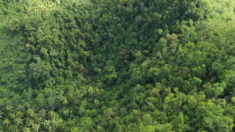 Jungle-covered-mountain-range-in-Santiago---Philippines