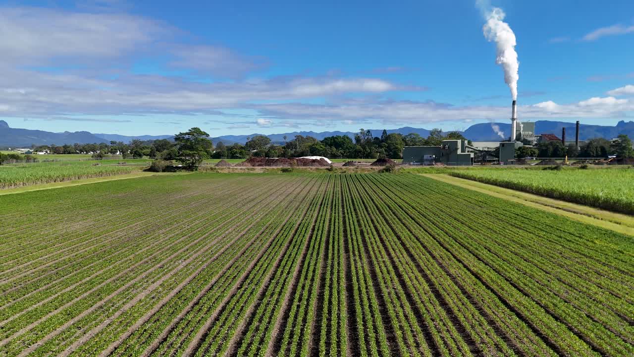 Drone footage captures a lush green field with a smoking industrial stack under clear skies near Tweed River, Gold Coast
