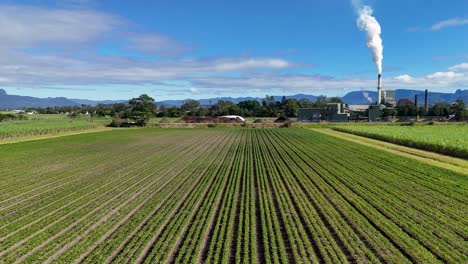 drone footage captures a lush green field with a smoking industrial stack under clear skies near tweed river, gold coast