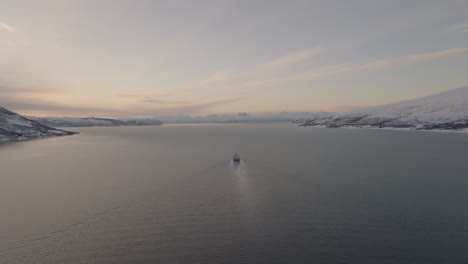 cargo ship navigates towards the horizon by the sea