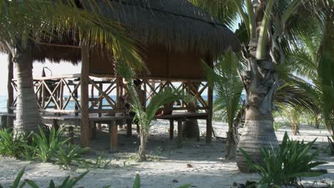 couple surrounded by palm trees relax on wooden gazebo facing the sea