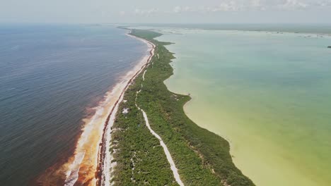 aerial view of sian ka’an biosphere reserve in mexico, showing sargassum-covered beach, jungle road, and vibrant coastal lagoon separated from the caribbean sea