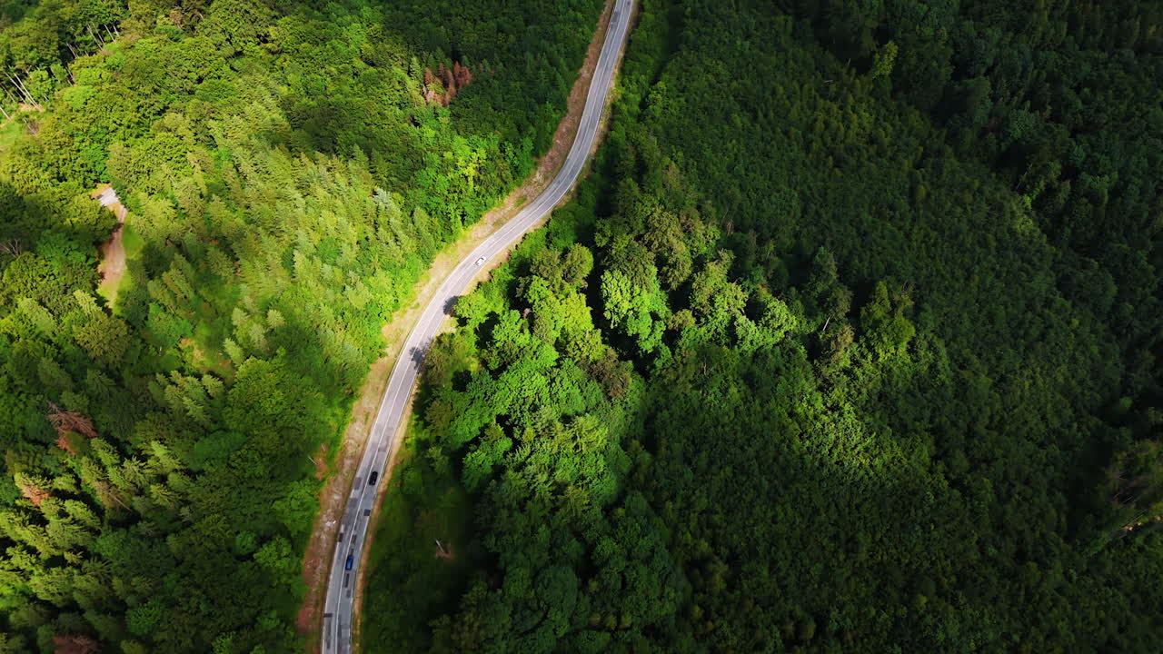 Scenic winding road through lush forest. A beautifully winding road meanders through a dense green forest, showcasing nature's vibrant colors