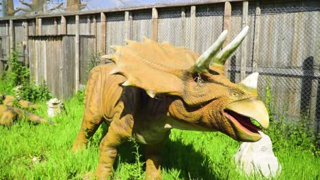 dinosaurio antiguo con cuernos moviendo su cabeza de izquierda a derecha parado frente a la valla rodeada de hierba histórica en cámara lenta