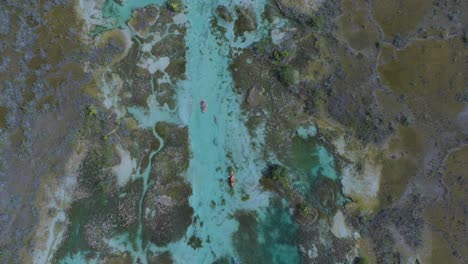 Kayakers-on-Beautiful-Los-Rapidos,-Bacalar-Ocean-River-in-Mexico---Aerial-Top-Down