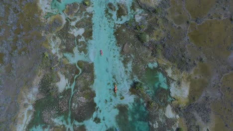 kayakers on beautiful los rapidos, bacalar ocean river in mexico - aerial top down