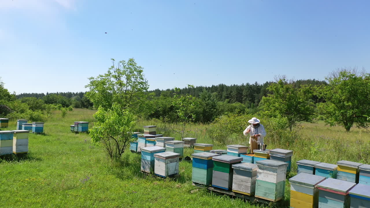 Beekeepr working on the beehive. Beekeeper working with bees and beehives on the apiary