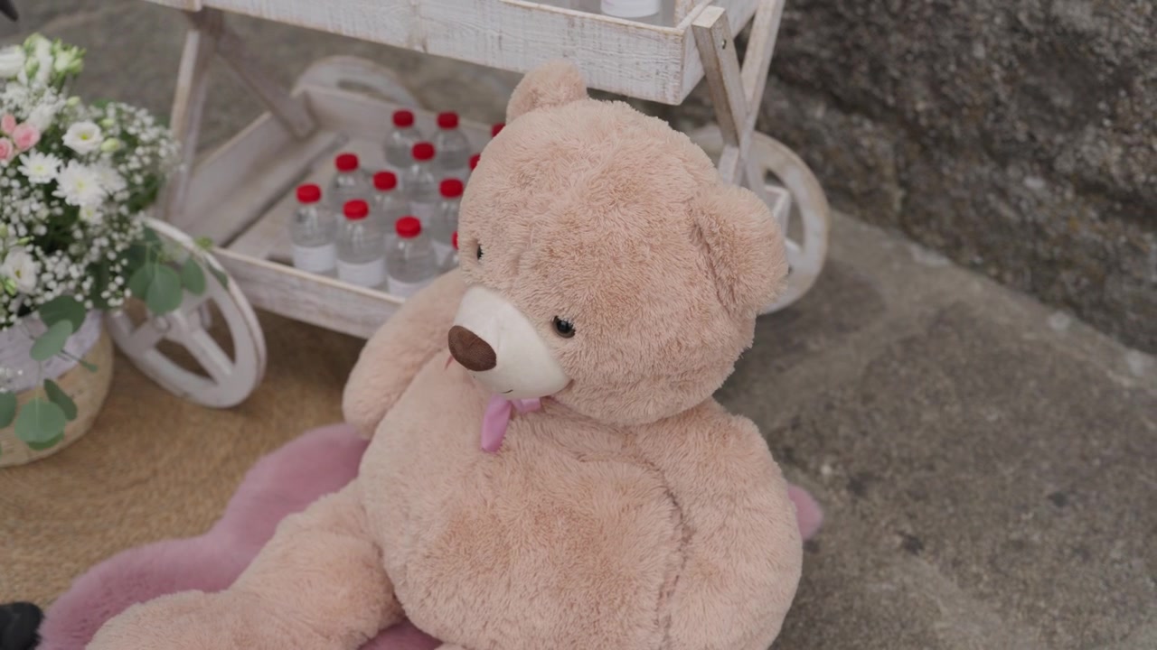 Boneka Beruang Mewah Besar di Atas Karpet Merah Muda di Samping Gerobak Kayu Berisi Air Minum Kemasan
