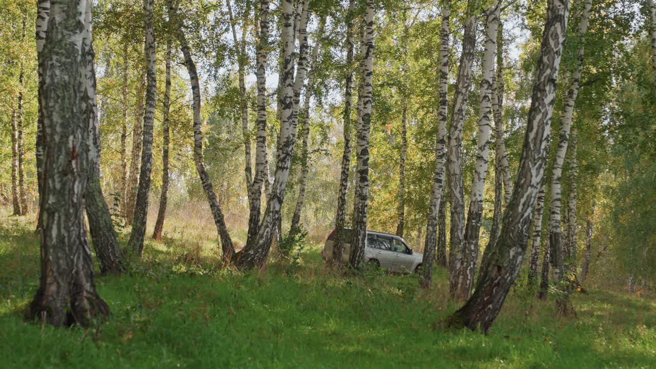 Car beneath trees. Automobile parked under bright canopy of birch trees during daytime outing. Sport utility vehicle situated in sundrenched grove exhibiting tranquility and natural beauty