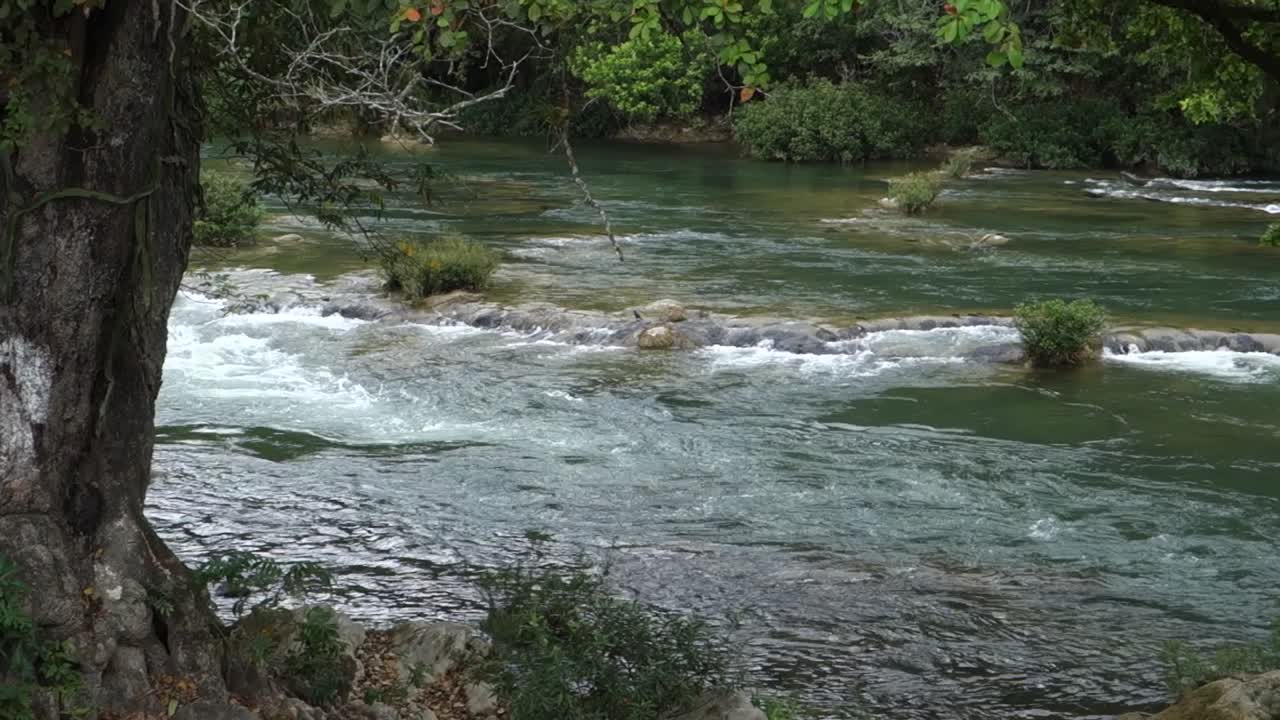Il fiume Macal scorre attraverso il Belize 1