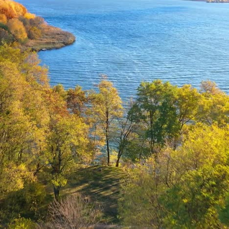 autumn nature and forest landscape