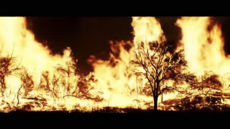 a destructive inferno: capturing the intensity and chaos of a forest fire as flames engulf trees and billow into the night sky with fiery vigor