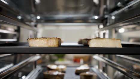 grilled fish in a commercial oven