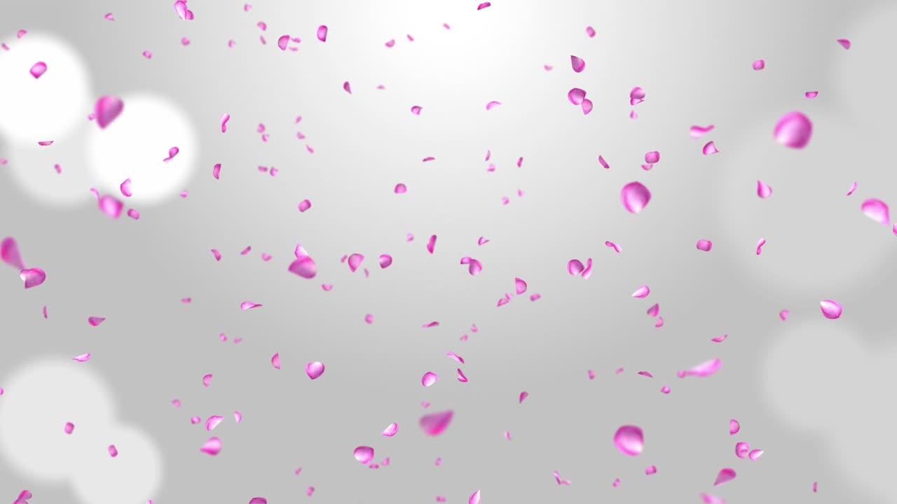 Flower petals falling into camera pink rose smelling flowers dust glitter exploding loop background