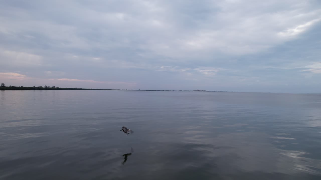 플로리다 주 포트 마이어스 해안과 새니벨 섬 상공을 비행하는 무인 항공기