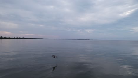 disparo de dron volando sobre la costa de fort myers y la isla de sanibel, florida