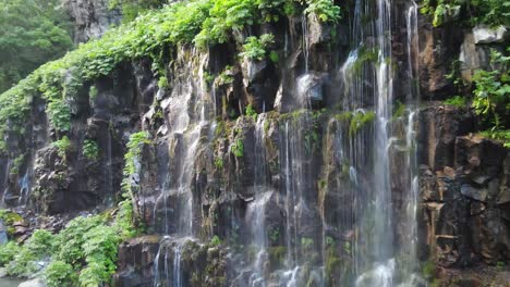 una hipnotizante cascada desciende por acantilados rocosos, rodeada de exuberante vegetación verde
