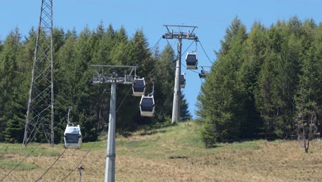 cable cars moving through a forested area