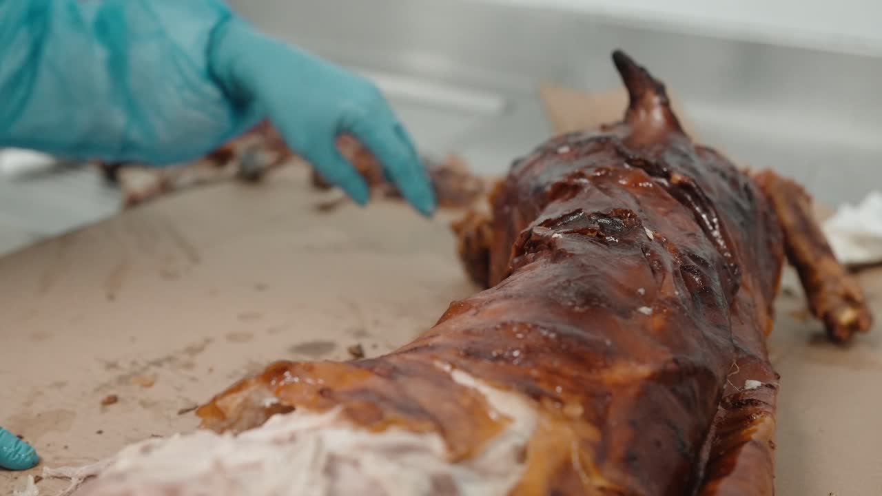 Close up of gloved hands tearing skin from roasted leitao pork