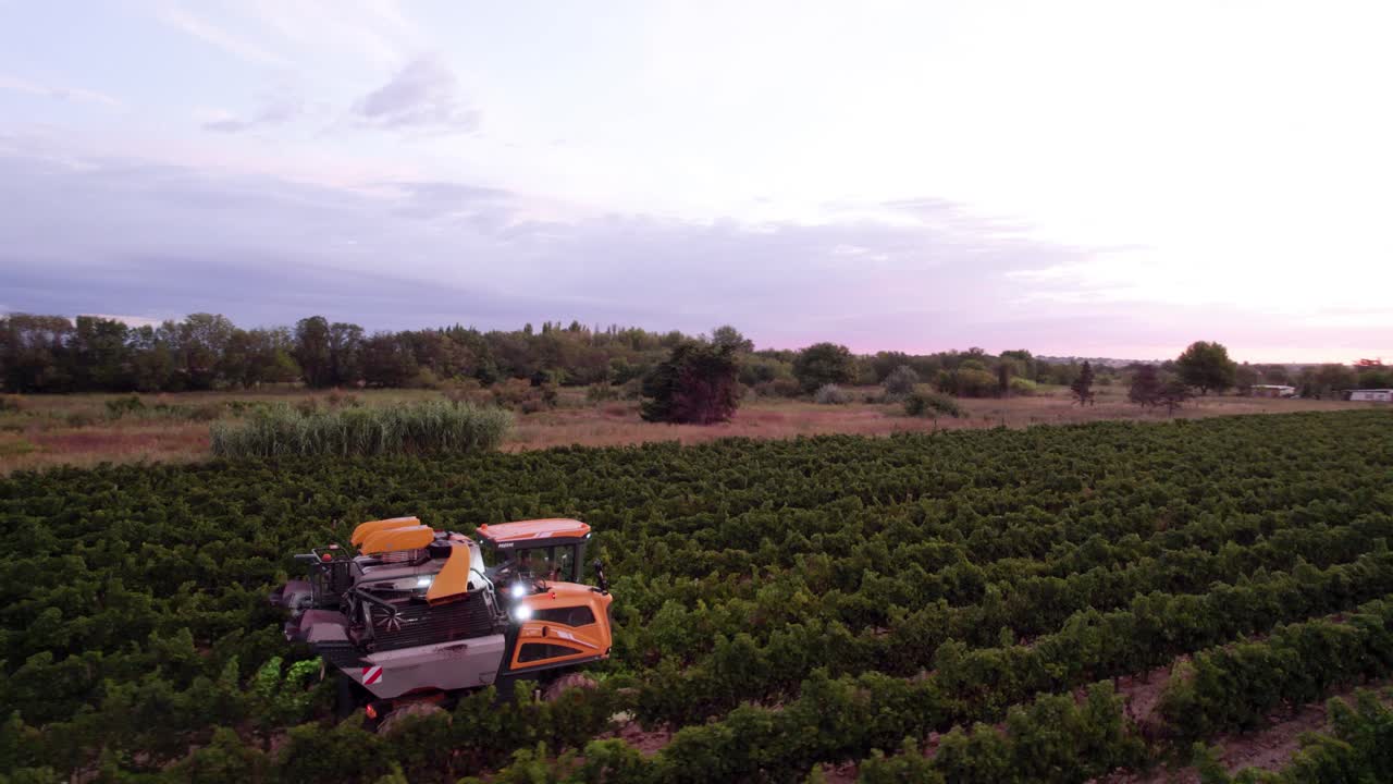 máquina agrícola utilizada para obtener uvas de los campos