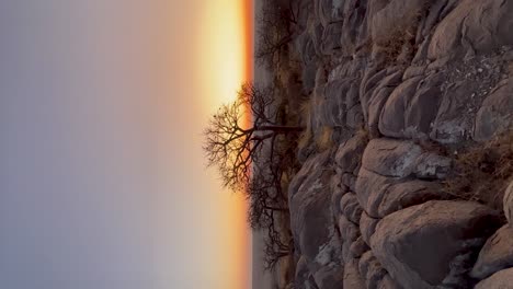 Vertikaler,-Ruhiger-Sonnenaufgang-über-Der-Wildnis-Inmitten-Natürlicher-Umgebung-Und-Malerischer-Landschaft