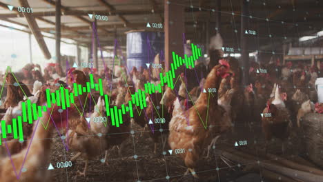 animating financial data graph over chickens in farm setting