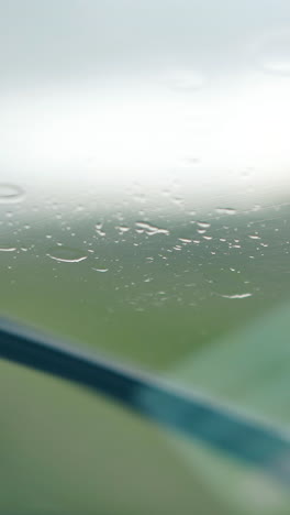 wet windshield